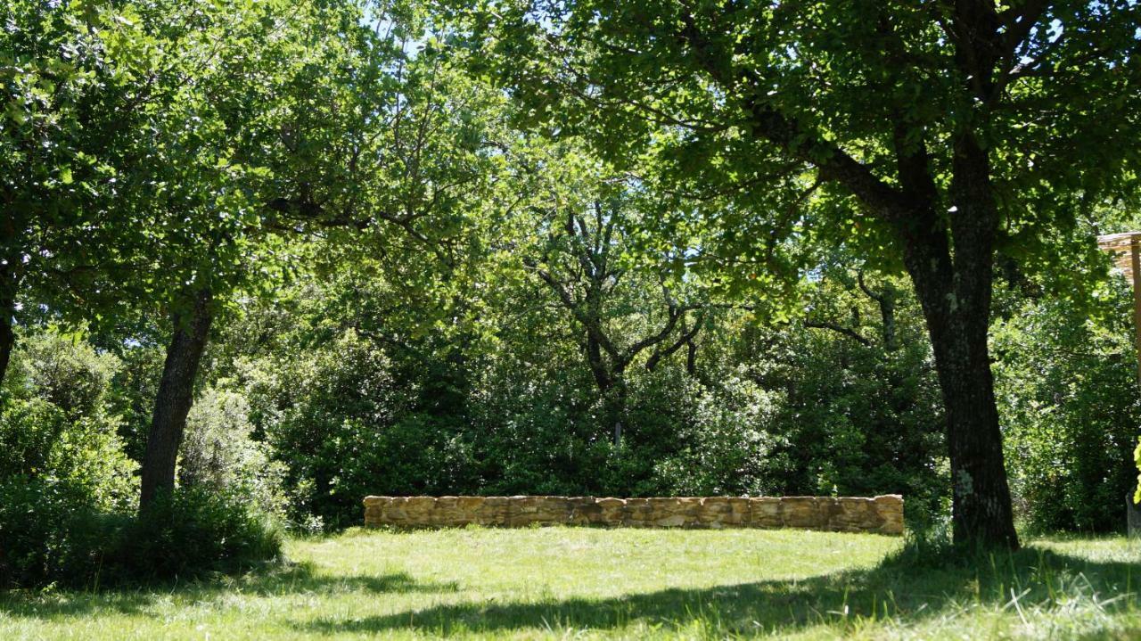 Les Lilas Des Chenes Piolenc Exterior photo